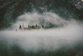 В ближайшие часы на Сочи опустится туман