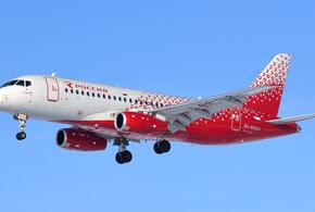 В двигатель самолета перед посадкой в Сочи попала чайка