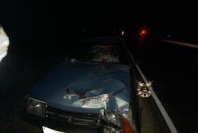 В Краснодарском крае разыскивают родственников погибшей на дороге женщины