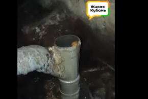 Фекальные стоки полгода топят подъезд  одного из домов в Краснодаре