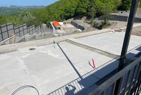 В Сочи собираются строить гостиницу  для бесхозных коров и «кошкин дом»