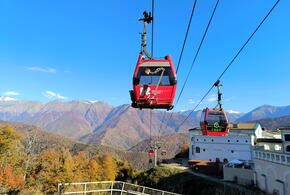 Во сколько обойдётся отдых в Сочи на майские праздники, рассказали эксперты