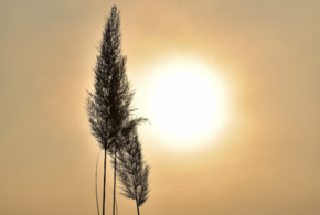 Прогноз погоды на Кубани 16 апреля