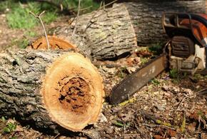 За год прокуратура на Кубани отправила в суды исков почти на 1,5 млрд рублей за ущерб природе