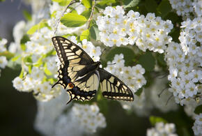 +30 градусов: какая погода будет на Кубани 24 мая