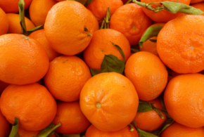 634 тонны мандаринов развернули в порту Новороссийска