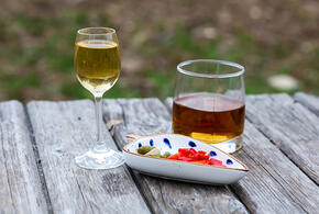 Рекомендации специалистов