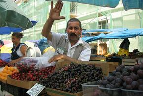 Две тысячи тонн черешни планируют собрать на Кубани