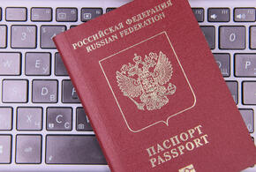 Как получить электронное удостоверение ветерана боевых действий, рассказали в Прокуратуре Кубани 