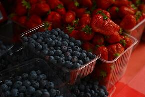 Ягода еще не везде поспела