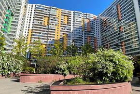 Квартиры в Сочи опять подорожали