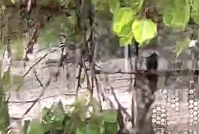 Мощный град обрушился на Анапу