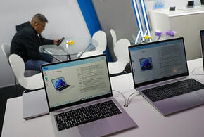 На Кубань пришли заморозки, в парке Галицкого в Краснодаре расцвело тюльпановое дерево: ТОП -10 за неделю