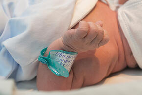 Не в тренде: на Кубани почему-то число вакансий для  акушерок за год снизилось почти на треть