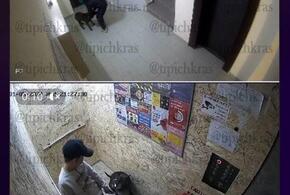 Подросток постоянно избивает собаку в подъезде и во дворе одной из многоэтажек Краснодара