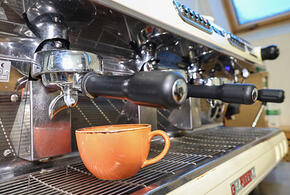 Полицейского в Британии подстрелили из арбалета, на Курилах случилось землетрясение: что произошло, пока вы спали