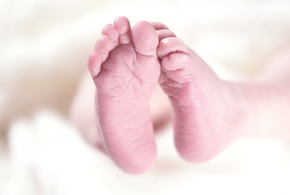 Женщин будут перевозить в Новороссийск