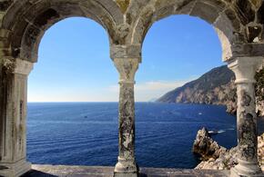 Растение, которое находится на грани исчезновения, расцвело в Сочи