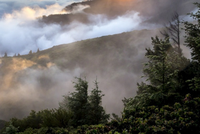 Жителей просят быть осторожными