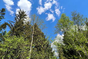 Зафиксирован максимальный УФ-индекс