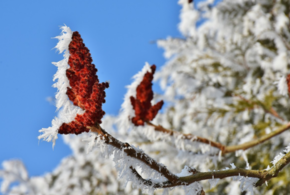 Какая погода ждет жителей Кубани на праздники