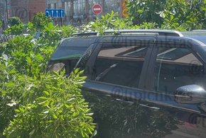 Власти просят горожан соблюдать осторожность