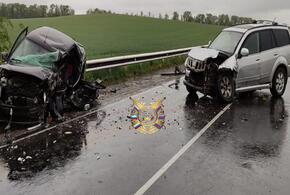 В Краснодарском крае на «встречной полосе» погибли 65 человек с начала года 