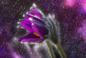 Синоптики рассказали о погоде в Краснодарском крае 12 мая