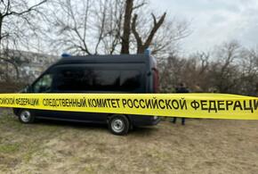 Виновника гибели матери и сына будут судить в Брюховецком районе