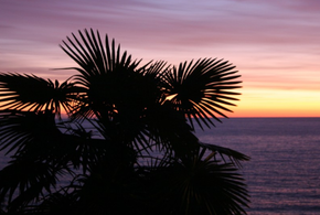 Курорты и отели уже присоединились к благотворительной акции