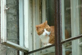 +32: какая погода будет на Кубани 21 июня