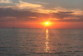 Пик солнцепёка ещё впереди