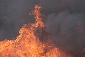 50 человек эвакуировали из «Бургер Кинга» в Краснодаре