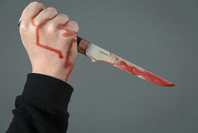 67-летний  пенсионер на Кубани не смог обжаловать приговор за зверское убийство бывшей жены