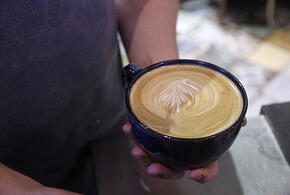 Белгородскую область атаковали дроны ВСУ, Джулиан Ассанж вышел на свободу: что произошло, пока вы спали