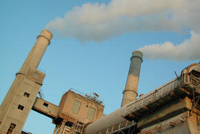 Цементный завод «Горный» судится с властями Новороссийска, чтобы вырубить 61 га леса