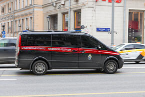 Директора крупного металлургического комбината в Челябинске силовики задержали во время секса с несовершеннолетней девочкой