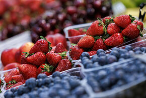 Фрукты, ягоды, мед: в Краснодаре работают пять ярмарок выходного дня