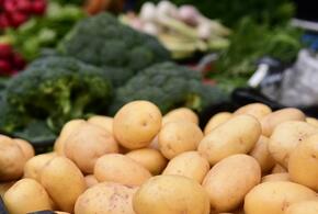 Из-за жары в Краснодаре сильно сократили число продуктовых ярмарок  