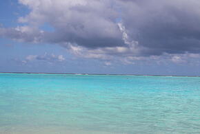 Чем это грозит Краснодарскому краю