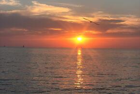 Куда поехать искупаться: вода на курортах Кубани вновь начинает прогреваться