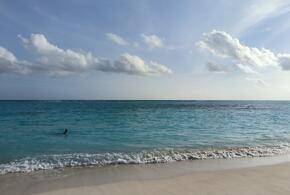 Море прогрелось до 27 градусов, выпускник военного училища сделал предложение своей девушке во время вальса: ТОП-5 за 12 июня