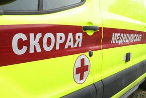 На Кубани мужчина ударил медсестру поленом по голове и хотел убить соседа