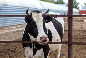 Тимашевские фермеры получили ответы на свои вопросы