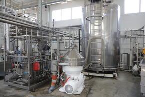 На молкомбинате в Тимашевском районе Кубани запускают новую линию по производству сыров