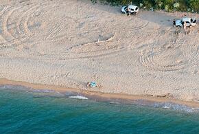 На пляжах Кубани исследуют воду и песок на наличие яиц гельминтов и кишечных патогенных простейших