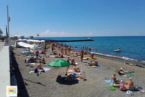 От шезлонга до пиццы: что почем на пляжах Сочи