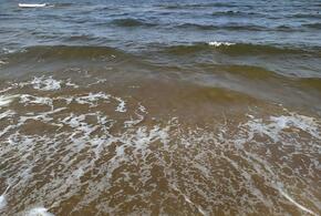 Самые дешевые направления для отдыха с детьми в Краснодарском крае назвали эксперты