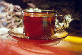 Сбит беспилотник над Тверской областью, задержан генерал, возглавивший попытку госпереворота: что произошло, пока вы спали