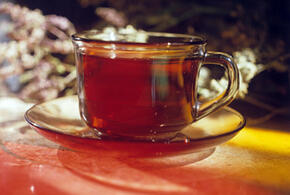 Пять человек погибли при атаке дрона ВСУ в Курской области, более тысячи человек застряли в зоне отдыха в Киргизии из-за схода селя: что произошло, пока вы спали